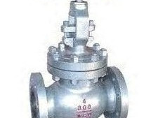 globe-valves-suppliers-in-kolkata