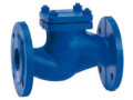 non-return-nrv-valves-suppliers-in-kolkata-small-0