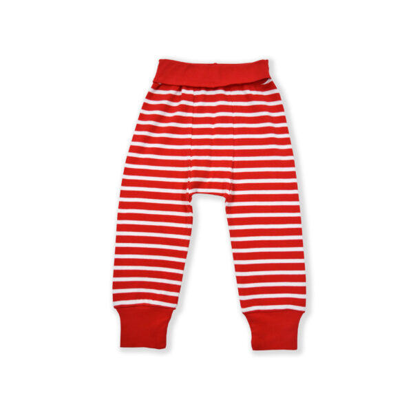 Boys 100% Organic Cotton Stripe Printed Joggers Pant